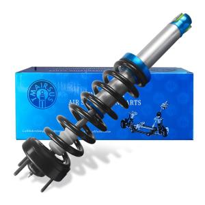 Air Suspension Absorber Shock For Ford F150 SVT Raptor STX XLT BL3Z-18124-J ASH-12262