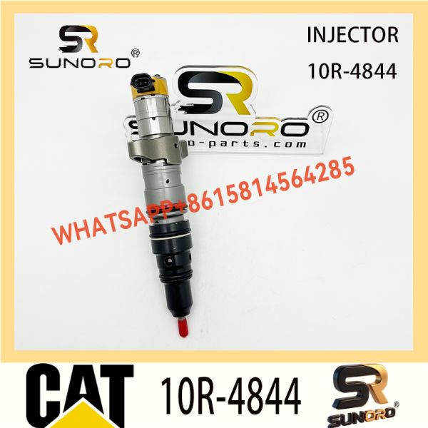 Common Rail Fuel Injector 10R-4844 for CAT C9 with 12 Months Warranty