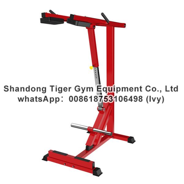 Gym Fitness Equipment Seated / Stand Calf Raise / Super Horizontal / Standing / Horizontal Calf exercise machine