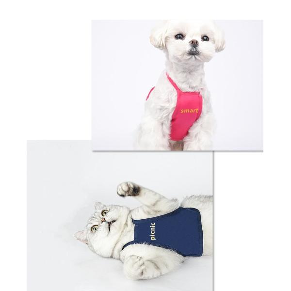 Одежда для домашних животных Повязка на животе Прямая одежда