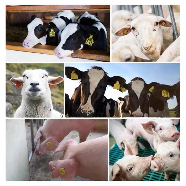 Pig Cow Livestock ID Tags Aluminum Alloy Sheep Ear Tag Applicator