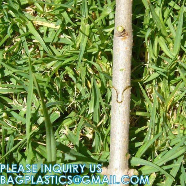 Shears Boxes, Garden Grafting Machine Seedling Tool Fruit Tree Grafting Knife Garden Technology Artifact Tools Kit