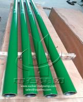 Surgeon Rod Pump Chorme Barrel de la haute performance API11AX