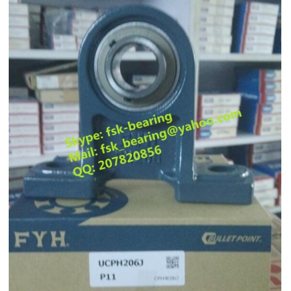Hot Sale Pillow Block Ball Bearings with Housing JAPAN FYH UCPH206