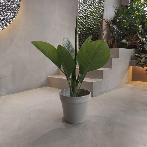 Живые экологически чистые пластиковые садовые горшки водонепроницаемые 250*175