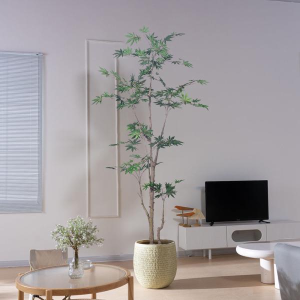Green Bonsai 5.2 FT 6 FT Japanese Maple Tree Artificial For Home Living Room Decoration