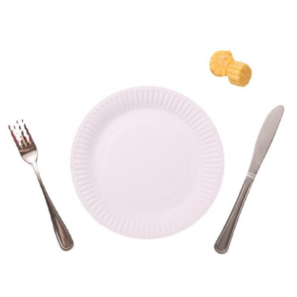 47.00cm * 33.00cm * 31.50cm Eco-Friendly 9inch Sugarcane Bagasse Round Disposable Plate