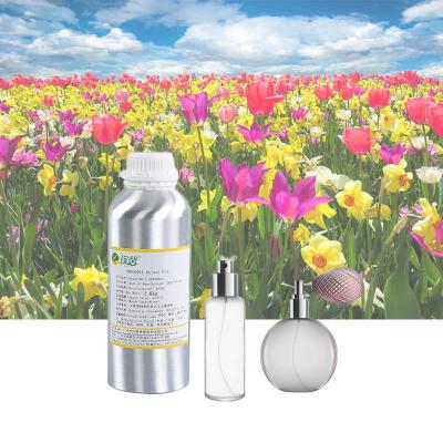 Óleo de perfumes de tulipa amarelo leve Óleo de perfumes concentrado Fragrância para fabricação de perfumes