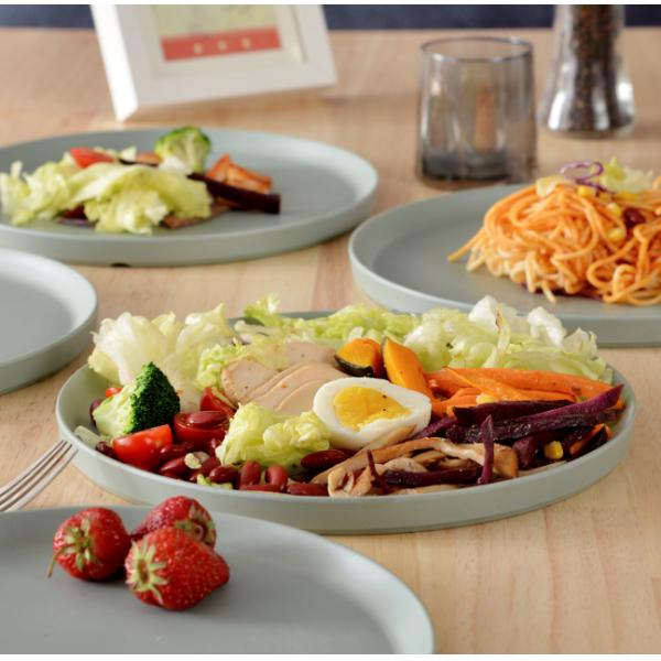 FINE&NICE Melamine Plates, 6 Pieces Dinnerware Plates, 10.5in Plates Set, Safe Dishes, Scratch Resistant, Dishwasher Saf