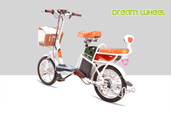 48 Vlot 250W Pedal Assist Bicycle 12Ah Lithium Electric Bike Lightweight