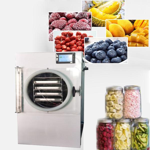 8kg Vacuum Small Freeze Dryer For Beef Jerky Fish Meat Chicken