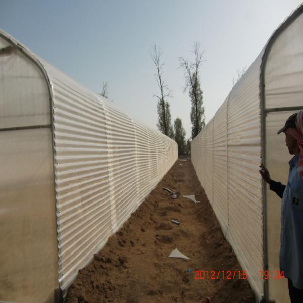 150-микронная металлическая плёнка для теплицы для пустынной розы