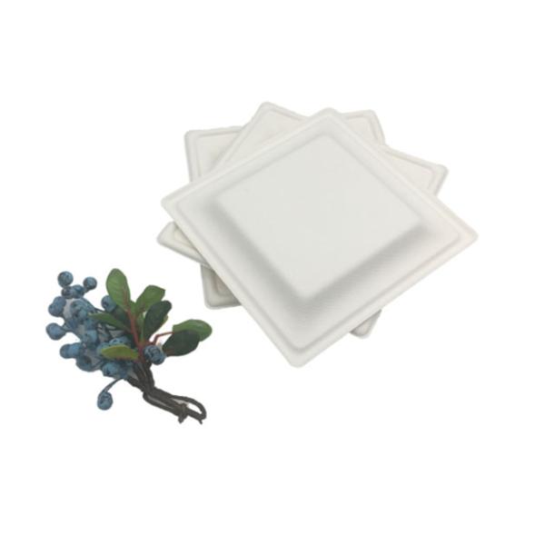 100% Compostable 6 Inch 10g Sugarcane Waste Plates