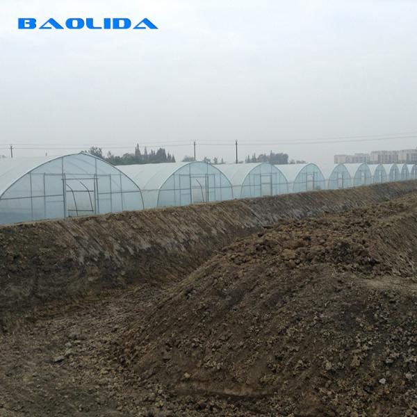 Крышка парника тоннеля 4 Mil пластиковая усилила ясный поли покрывать