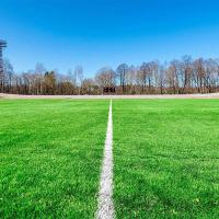 Le gabarit artificiel de football mesure 5/8 pouces en PE, de couleur verte, faux gazon pour les terrains de football et les terrains de jeux scolaires