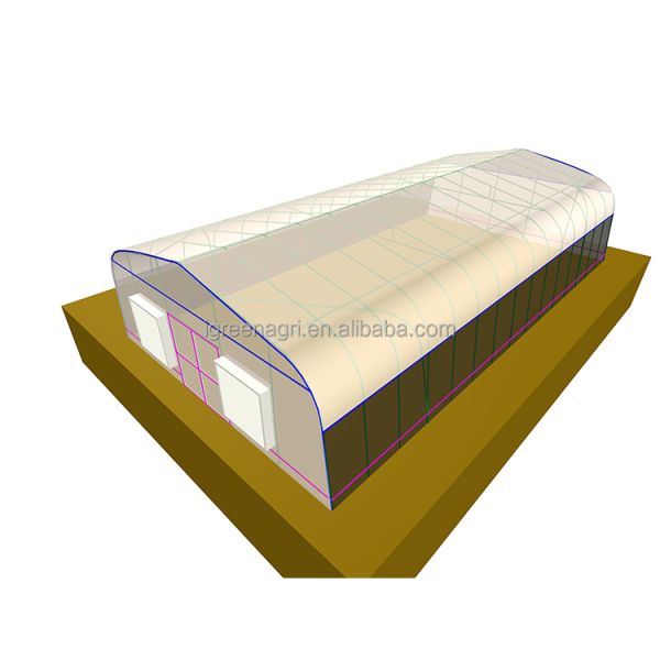 Durable Poly Small Agricultural Greenhouse Tunnel Roses Professional Flower Growing UV-Resistant PE Film Cover Ventilation