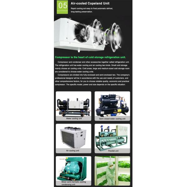 Замораживатель холодной комнаты воздушного охлаждения -18℃ для цыпленка/склада холодильных установок