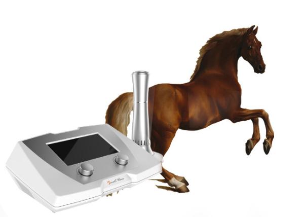 Veterinary Horse Shockwave Therapy Machine 1 - 22 Hz Frequency 320 * 225 * 126mm