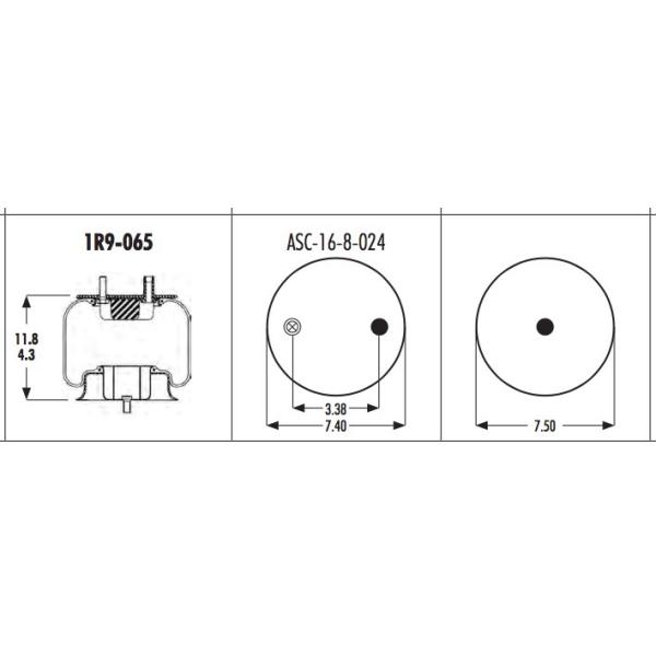 1R9-065 Goodyear Rolling Lobe Truck Air Suspension Springs
