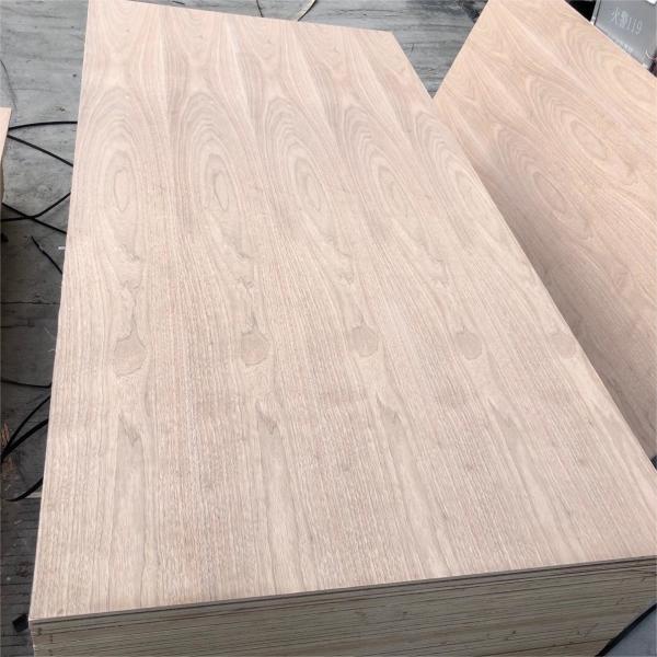 Factory Price Black Walnut Veneer Cabinet Wardrobe Wooden Door Wall Panel Decorative Panel