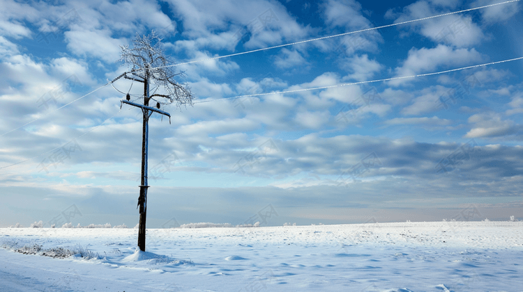 Non Phthalate DPHA Plasticizer Non Phthalate Plasticizers For Pvc Low Temperature