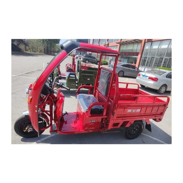 70-90km Driving Mileage 3 Wheel Motorcycle Electric Cargo Tricycle for Adults