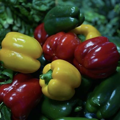 Vegetais Luz solar Hidroponia de estufa Irrigação de espuma Personalização para uso comercial