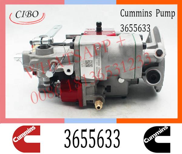 Injeção diesel para a bomba de combustível 3655633 de Cummins KTA19-M3 pinta