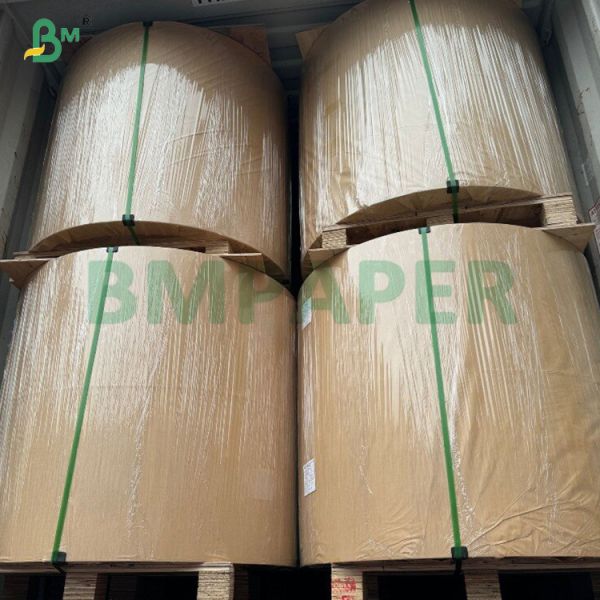 35gsm Odorless Cupcake Paper In Roll FDA  SGS for Air Fryer Cooking Oven Use