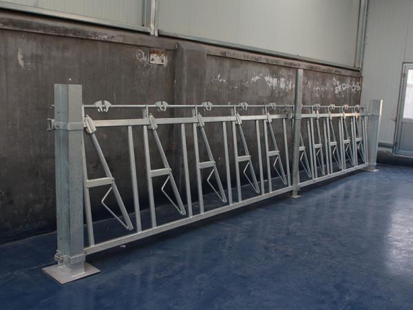 O alimentador galvanizado do Headlock do gado da tubulação de aço de mergulho quente almofada o tamanho de 10FT-14FT
