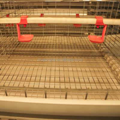 Hot Sales Low Cost Hot Dip Galvanized Baby Chick Cages With Automatic Equipments