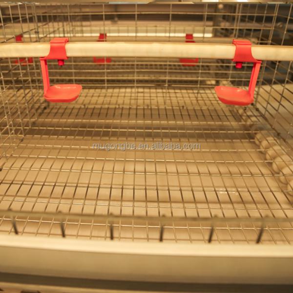 China Manufacture Chicken Coop for Broilers and Cheap Meat Broiler Raising Chicken Battery Cages Prices