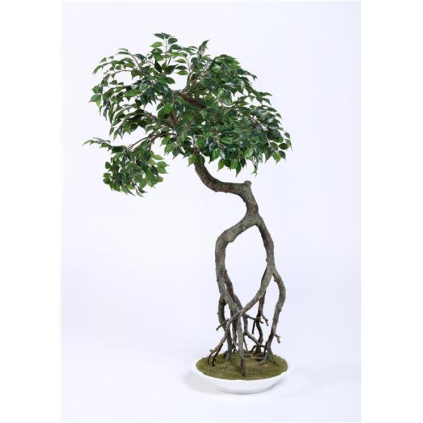 Vibrant Color Artificial Ficus Tree Curved Trunk , Pre Lit Ficus Tree Premium Foliage