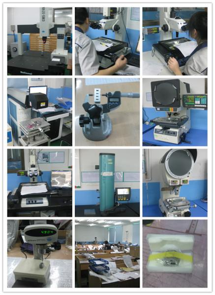 Professional Custom Punching Die