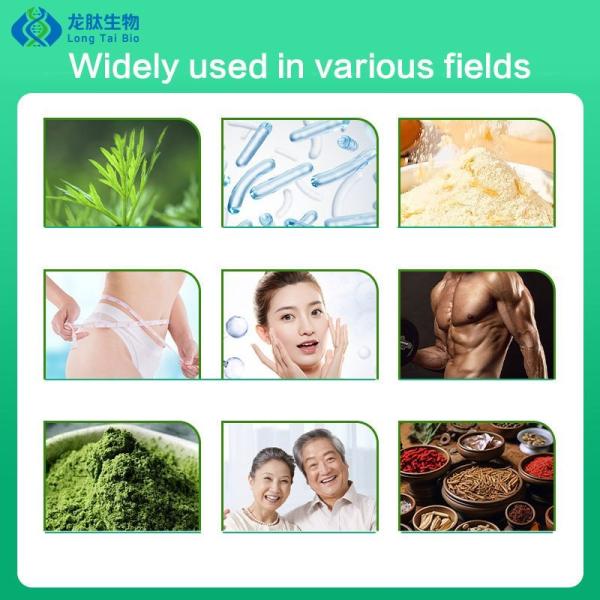 Glutathione 99% Raw Material Stock Reduced Glutathione 70-18-8 High Purity and Efficiency