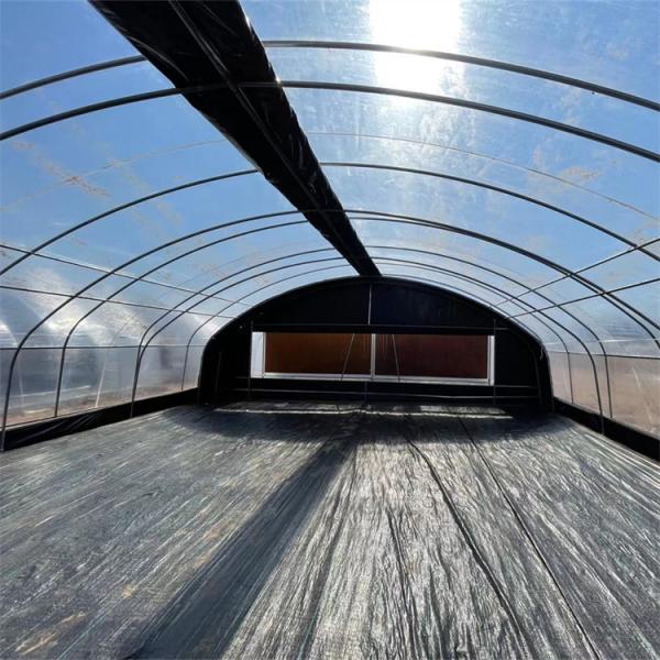 Portable Hot Dip Galvanized Steel Auto Light Dep Greenhouse For Herb