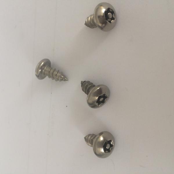 18-8 Stainless Steel Torx Rounded Head Screws Pin In Torx Pan Head Safety Screw Stainless Steel Tapping Screws