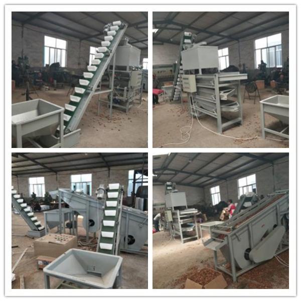 walnut processing line, walnut shelling machine, walnut cracker