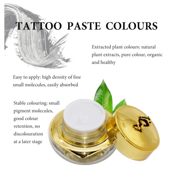 Макияж брови постоянный пигментирует академию чернил татуировки смеси GMT косметическую Perma