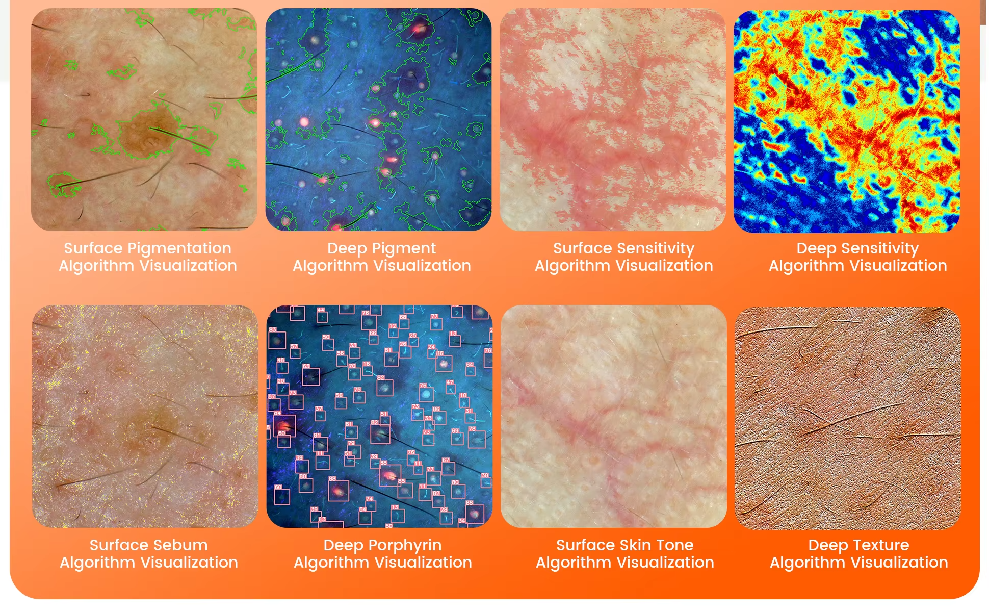 2in1 3 Spectrum Imaging 8Mp Magnified 50 Times Camera Ai Skin and Scalp Analyzer Device