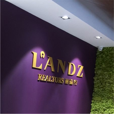 Advertising Signboard LED Letter Signage 3D Luminous Acrylic Words