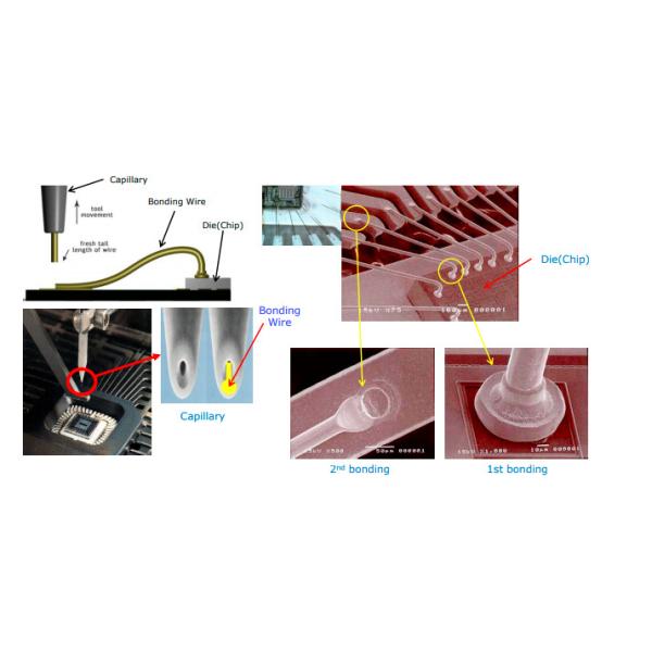 Eastern Stor International Ltd.