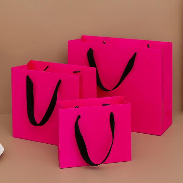 Customized Printing Custom Paper Gift Bags for Your Business Needs