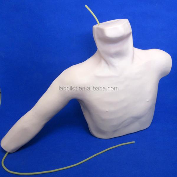 Peripheral Veins Puncture and Central Venous Catheters Insertion Teaching Model PICC Simulator