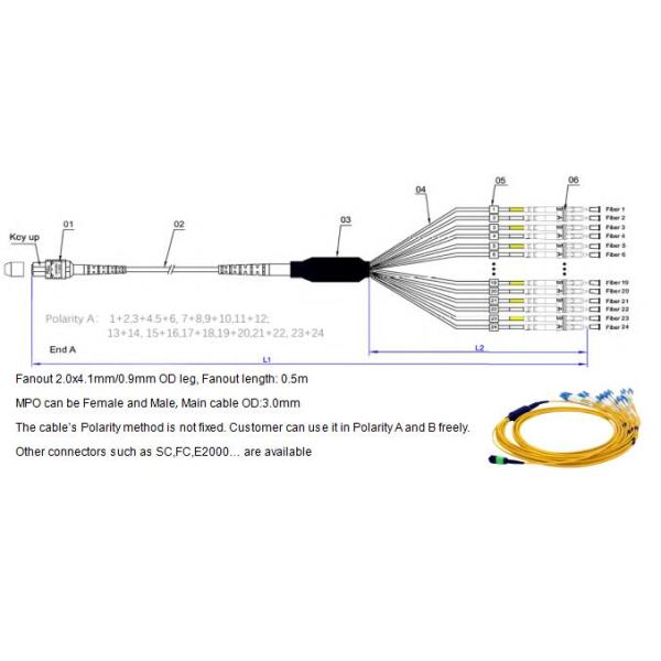 24 Fibras MPO a LC Fibra óptica monomodo MPO-LC Cables de arnés recto de 2,0 mm