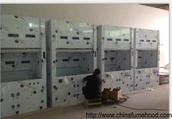 Customized Biology Fume Hood For Oversea Importers and Sellers