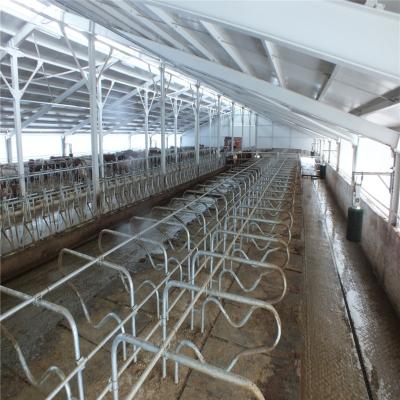 Steel Frame Prefabricated Goat Shed Q235B Q355B Steel Factory Shed