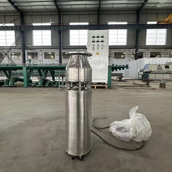 High-Pressure Stainless Steel Fountain Pumps 3-7.5KW Professionally Create Dreamy Fountain Landscapes