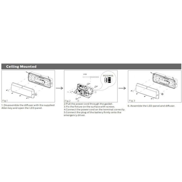 Bulk Head LED Porch Light 8W with 3CCT and Power Switchable and  Microwave Sensor | Emergency | Microwave Sensor + Emergency Function Optional