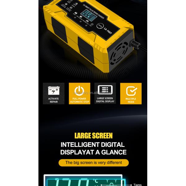 CAR CHARGER Intelligent Maintenance Battery Charger for AGM and GEL Batteries 12V/24V Output